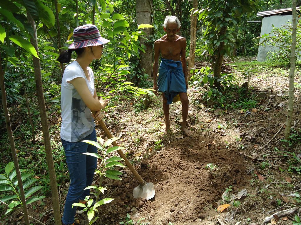 Lady Gordons Homestay Kandy Dış mekan fotoğraf